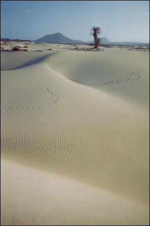 Sandlandschaft